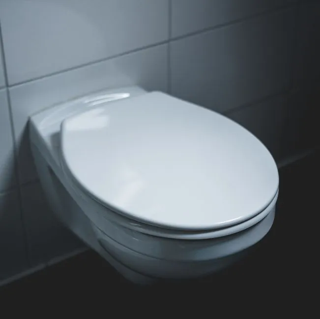 Small modern cloakroom with a white toilet and neat finish