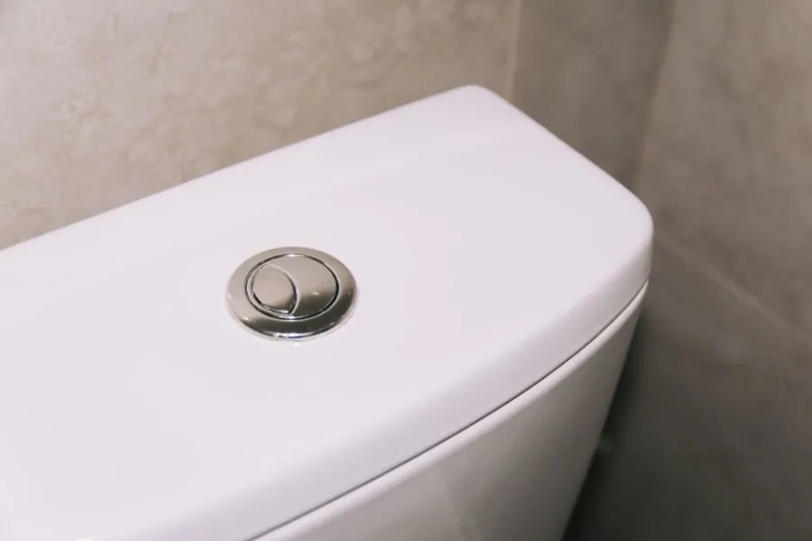 Dual-flush button on a water-efficient toilet