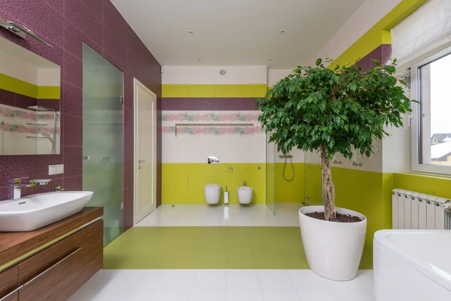 Modern bathroom with lime-green and purple walls, white fixtures, and a potted tree near the shower.
