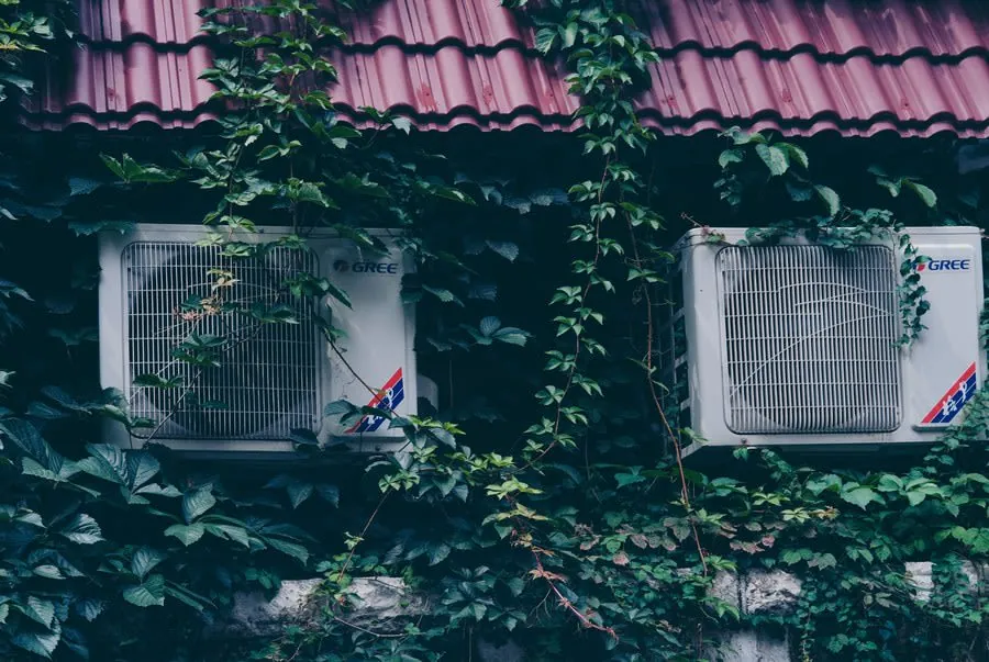 Two white barred windows covered in ivy beneath a red tiled roof on a house facade