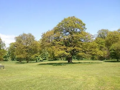 Alfreton Park