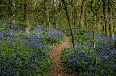 Outwoods, Leicestershire